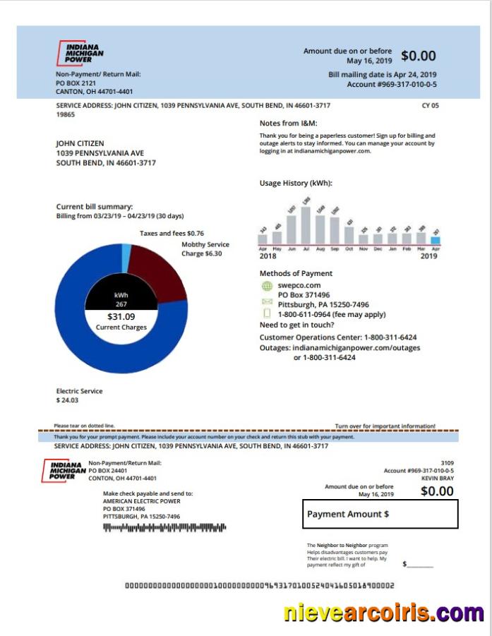 USA Michigan electricity utility bill